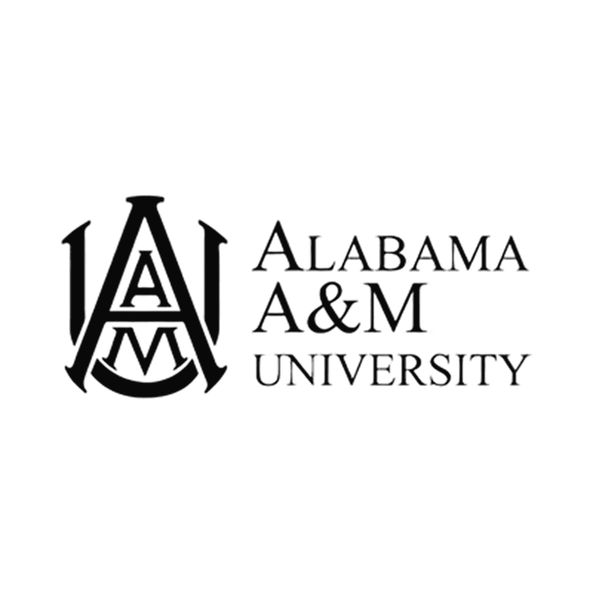 Logo Placeholder